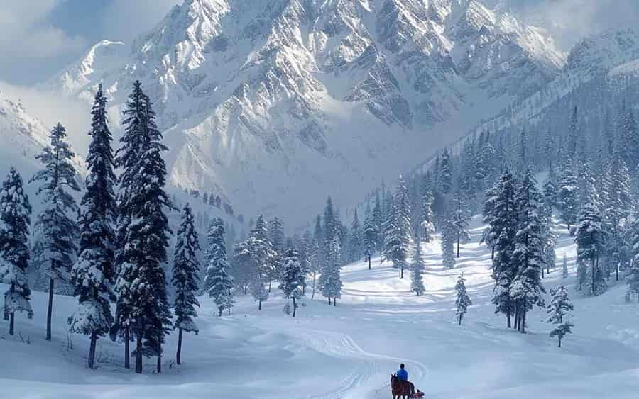 Kashmir Tour Packages 
