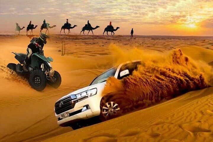 Dubai Desert Safari Packages : Adventure Awaits